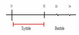Diagram of heart sounds showing systole and diastole